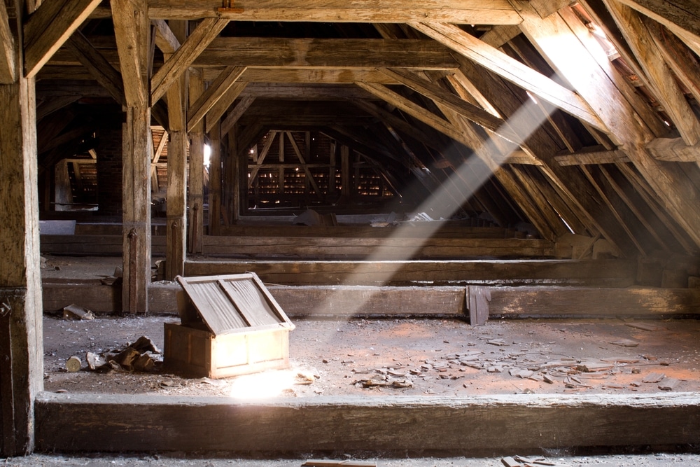 residential attic inspections for roof Naples