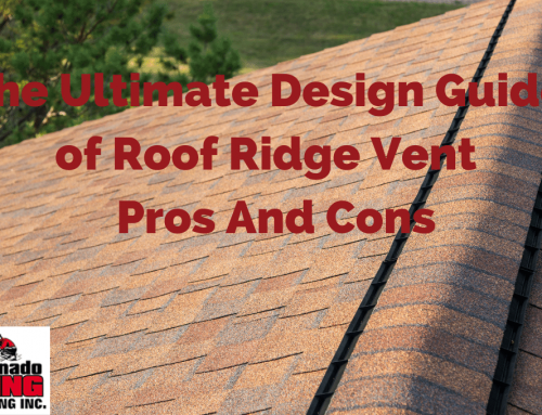 The Ultimate Design Guide of Roof Ridge Vent – Pros And Cons
